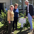 "In nome della rosa", a Maiori inaugurata l'Aiuola Rosa Inner Wheel Forever