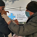 Maiori, 29 dicembre il "Microchip Day" organizzato da ASL Salerno ed ENPA Costa d'Amalfi