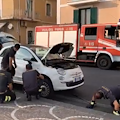 Serpente sul parabrezza di un'auto in marcia, a Maiori intervento insolito per i Vigili del Fuoco /FOTO