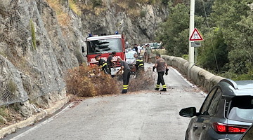 Capo d'Orso, rami cadono sulla Statale 163: prestare attenzione alle condizioni meteo