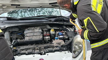 Serpente cade su un'auto in transito a Maiori: intervento dei Vigili del Fuoco